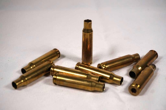 Two bags of Federal fired 308 brass. Count 99.