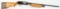 Mossberg 12ga