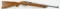 Ruger 10/22