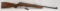 K-mart .22 LR semi-auto