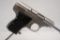 Sterling Arms 22