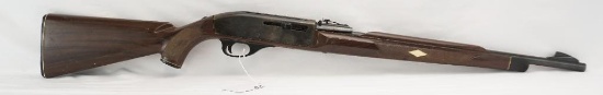 Remington Nylon 66 .22LR