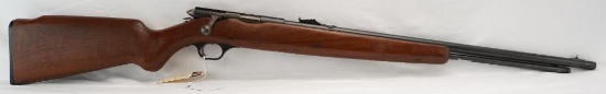 Hawthorne Warrior Model M820B .22