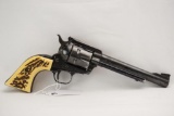 Ruger Blackhawk .357 Mag