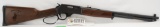 Two Henry Rifles