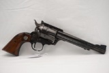Ruger Blackhawk .44 Mag