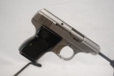 Sterling Arms 22
