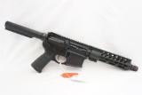 Palmetto PA-15 AR Pistol