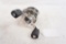 One Orra SX-HS level wind baitcasting fishing reel with foam cover. Used.