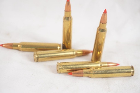 Bag of 223 ammo, 100 count +/-