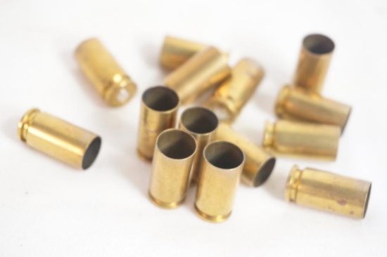 Two bags of fired brass. One 40 S&W, and one 45 ACP.