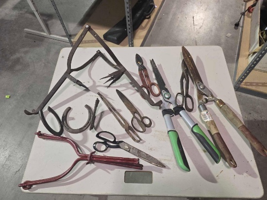 Two hedge hand trimmers, two tin snips, etc.