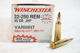 One box of Winchester 22-250 Rem 45 gr JHP, 40 count