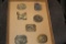 Lot of Wildlife buckles