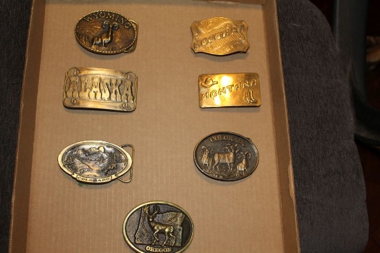 Lot of state buckles