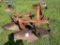KUBOTA 2 BOTTOM PLOW