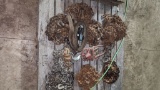 PALLET OF CHAINS