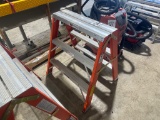 WERNER 3' FIBERGLASS LADDER
