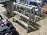 WERNER 3' ALUMINUM LADDER