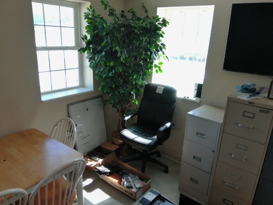 Office Chair, Fake Tree, White Board