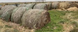 Grass Hay Round Bales