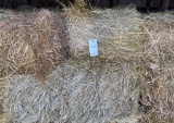 Square Bales of Grass Hay