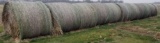 Grass & Young Rye Grass Mix Hay Bales