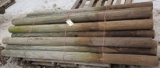 Treated Wood Posts