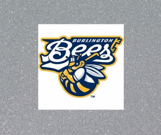 Donated by Burlington Bees & Anonymous