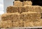 Square Bale Wheat Straw