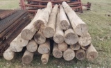 Wood Posts