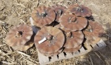 9 - Yetter Vertical Tillage Coulters