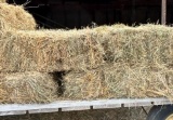 Square Bale First Cutting Grass Hay