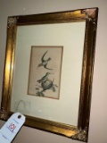 Hummingbird Print in frame