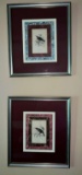 4 - Nectarinia Bird Prints in Matted Frames