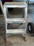 Werner 2' step ladder