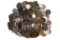 1 Bag of foreign coins 2 lb 15 oz