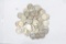 Lot 50 Silver Washington quarters