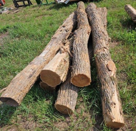 Hedge Anchor Post