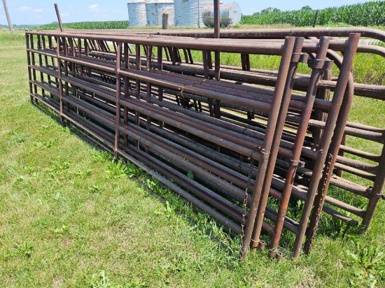 16' Cattle Gate