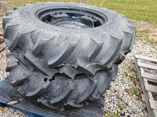 Titan 12.4-24 Hi-Traction Lug Tire