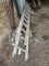 20' Alum Ext. Ladder