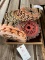 Plastic Planter Plates