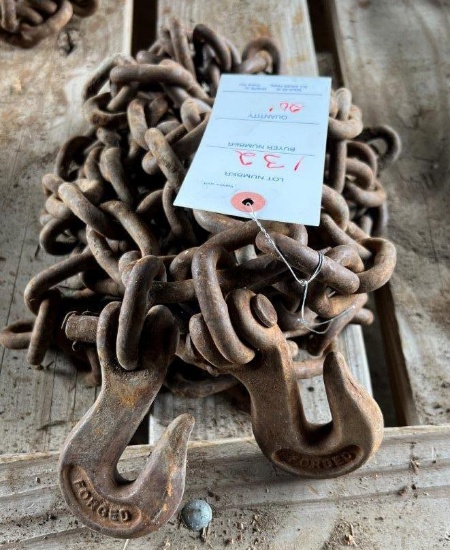 20' Log Chain