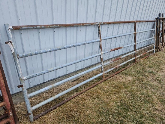 16' Steel Cattle Gate