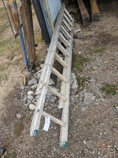 20' Alum Ext. Ladder