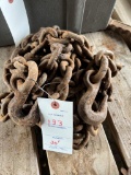 20' Log Chain