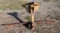 Little Rhino 8' 3 Pt. Blade