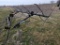 Kelderman 8-30 Down Corn Reel
