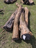 Large Hedge Anchor Fence Post